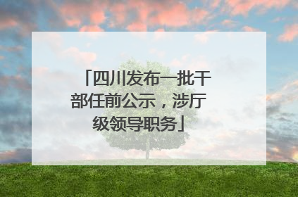 四川发布一批干部任前公示，涉厅级领导职务