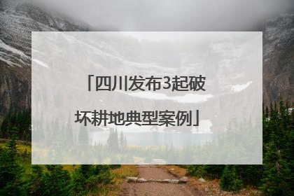 四川发布3起破坏耕地典型案例