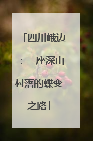 四川峨边：一座深山村落的蝶变之路