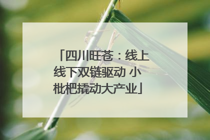四川旺苍：线上线下双链驱动 小枇杷撬动大产业