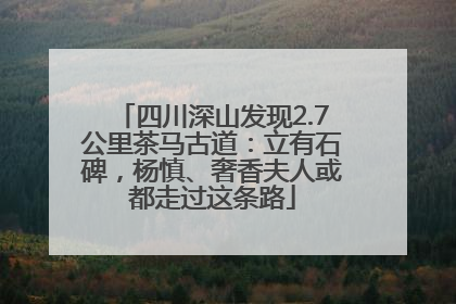 四川深山发现2.7公里茶马古道：立有石碑，杨慎、奢香夫人或都走过这条路