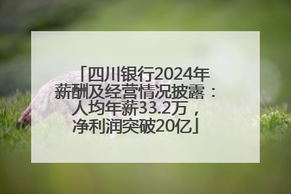 四川银行2024年薪酬及经营情况披露：人均年薪33.2万，净利润突破20亿