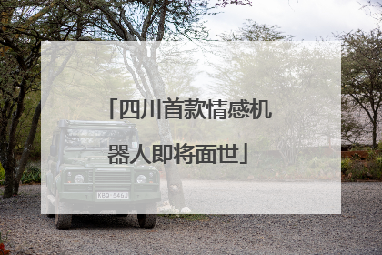 四川首款情感机器人即将面世