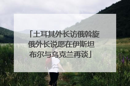 土耳其外长访俄斡旋 俄外长说愿在伊斯坦布尔与乌克兰再谈