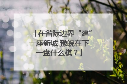 在省际边界“建”一座新城 豫皖在下一盘什么棋？