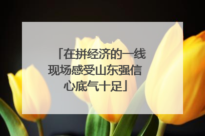 在拼经济的一线现场感受山东强信心底气十足