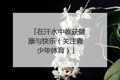 在汗水中收获健康与快乐（关注青少年体育）