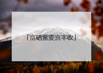 富硒紫麦喜丰收