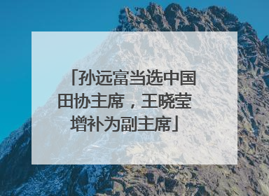 孙远富当选中国田协主席，王晓莹增补为副主席