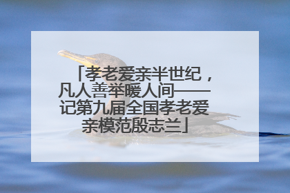 孝老爱亲半世纪，凡人善举暖人间——记第九届全国孝老爱亲模范殷志兰