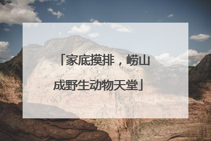 家底摸排，崂山成野生动物天堂
