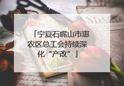 宁夏石嘴山市惠农区总工会持续深化“产改”
