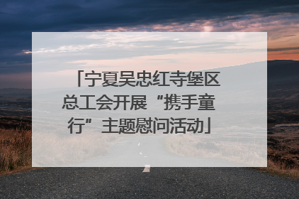 宁夏吴忠红寺堡区总工会开展“携手童行”主题慰问活动