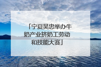 宁夏吴忠举办牛奶产业挤奶工劳动和技能大赛