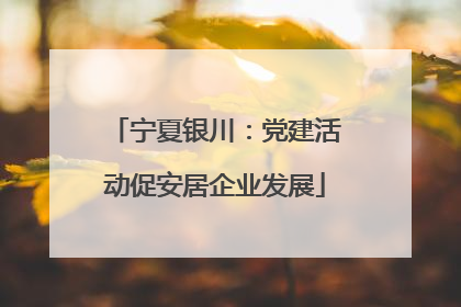 宁夏银川：党建活动促安居企业发展