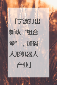 宁波打出新政“组合拳”，加码人形机器人产业