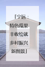 宁远：特色瓜果丰收绘就乡村振兴新图景