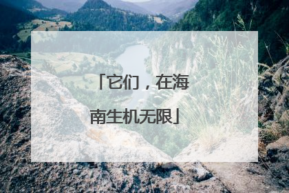 它们，在海南生机无限