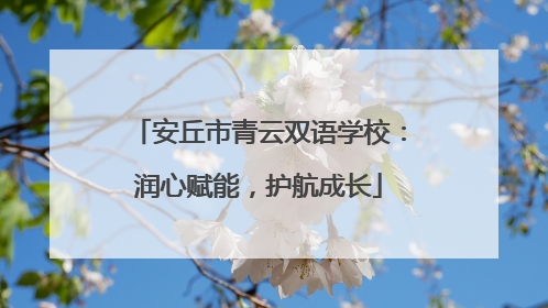 安丘市青云双语学校：润心赋能，护航成长