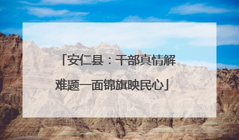 安仁县：干部真情解难题一面锦旗映民心