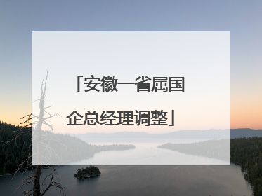 安徽一省属国企总经理调整