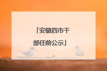 安徽四市干部任前公示