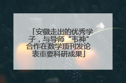 安徽走出的优秀学子，与导师“韦神”合作在数学顶刊发论表重要科研成果