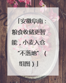 安徽阜南：粮食收储更智能，小麦入仓“不落地”（组图）