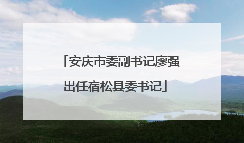 安庆市委副书记廖强出任宿松县委书记