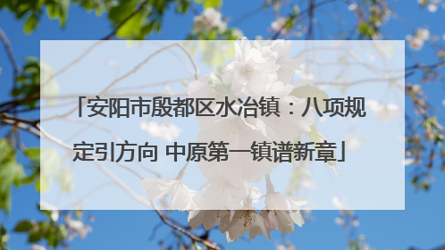 安阳市殷都区水冶镇：八项规定引方向 中原第一镇谱新章