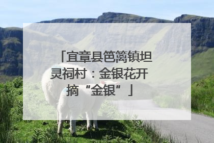 宜章县笆篱镇坦灵祠村：金银花开摘“金银”