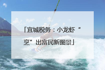 宜城税务：小龙虾“烹”出富民新图景
