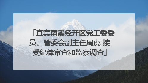 宜宾南溪经开区党工委委员、管委会副主任周虎 接受纪律审查和监察调查