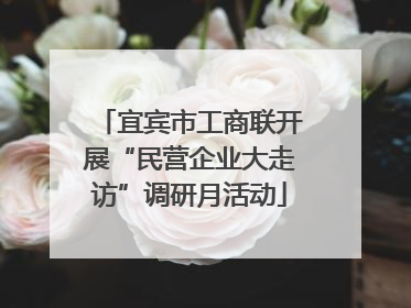 宜宾市工商联开展“民营企业大走访”调研月活动