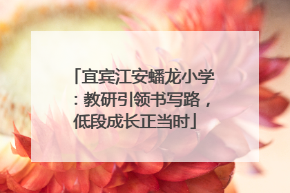 宜宾江安蟠龙小学：教研引领书写路，低段成长正当时