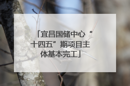 宜昌国储中心“十四五”期项目主体基本完工