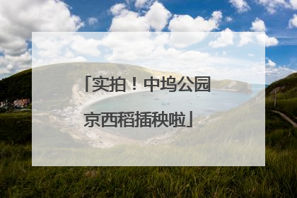 实拍！中坞公园京西稻插秧啦