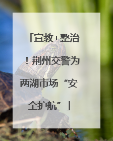 宣教+整治！荆州交警为两湖市场“安全护航”