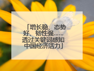 增长稳、态势好、韧性强……透过关键词感知中国经济活力