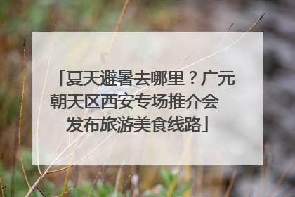 夏天避暑去哪里？广元朝天区西安专场推介会 发布旅游美食线路