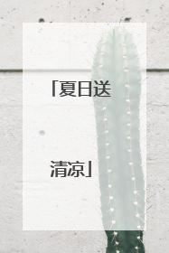 夏日送清凉