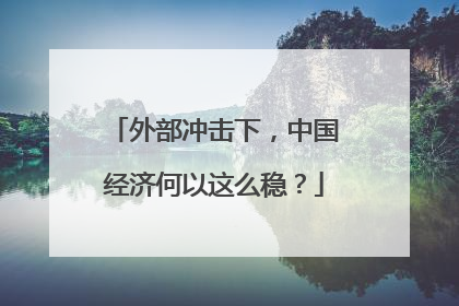 外部冲击下，中国经济何以这么稳？