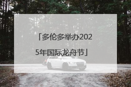 多伦多举办2025年国际龙舟节