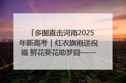 多图直击河南2025年新高考｜红衣旗袍送祝福 鲜花葵花助梦圆——尉氏县高考暖心送考