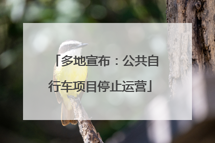 多地宣布：公共自行车项目停止运营