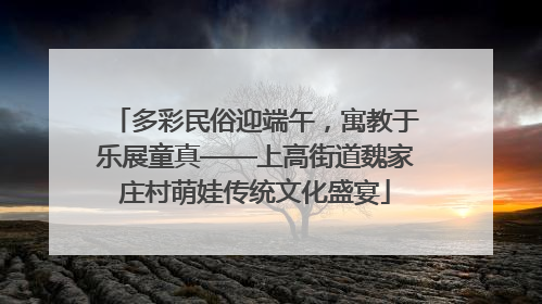 多彩民俗迎端午，寓教于乐展童真——上高街道魏家庄村萌娃传统文化盛宴