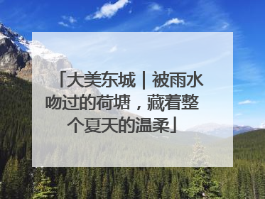 大美东城｜被雨水吻过的荷塘，藏着整个夏天的温柔