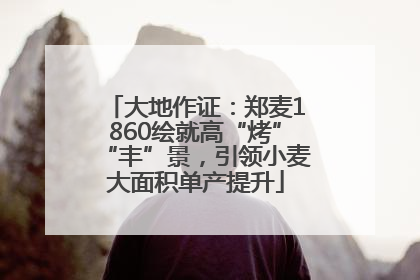 大地作证：郑麦1860绘就高“烤”“丰”景，引领小麦大面积单产提升