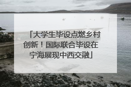 大学生毕设点燃乡村创新！国际联合毕设在宁海展现中西交融