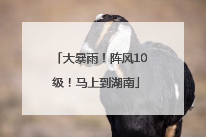 大暴雨！阵风10级！马上到湖南